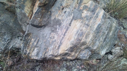 Гигантские зелёные валуны для ландшафтного дизайна весом более 5 тонн купить в Воронежской области