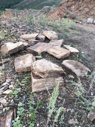 Плитняк кора дерева 50-100мм для пошаговых дорожек купить в Воронежской области